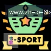 6T体育 logo