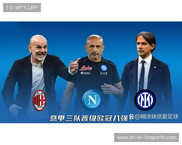 意甲球队年度总结与展望